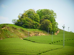 R0011307