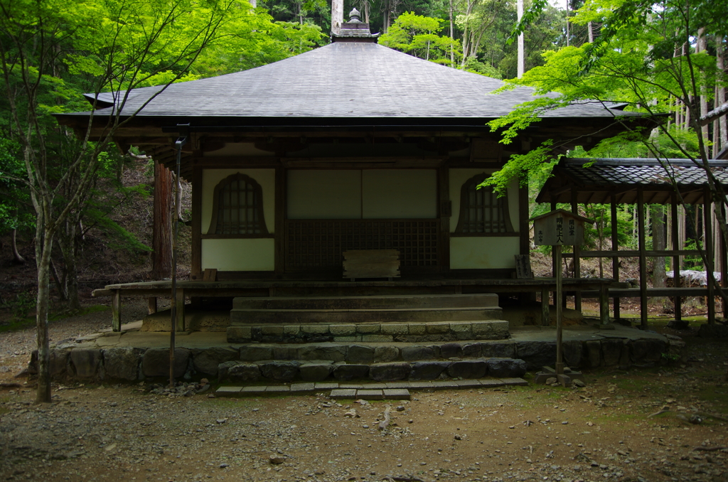 IMGP7545