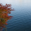 水と紅葉。