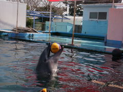 ナイスキャッチ！！