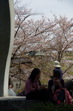 IMGP6563