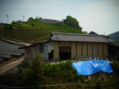R0011197