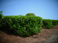 R0011276