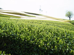 R0011165