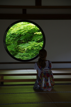 心の窓を通して眺める新緑