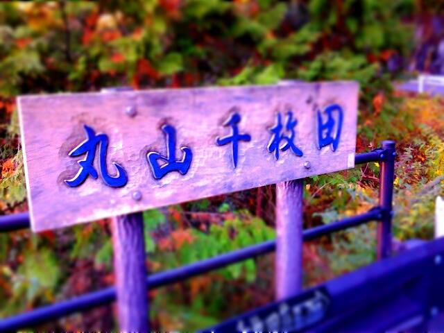 1466110_504732349626046_990016508_n