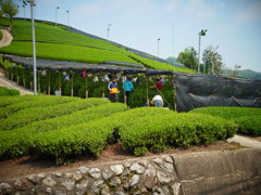 R0011182