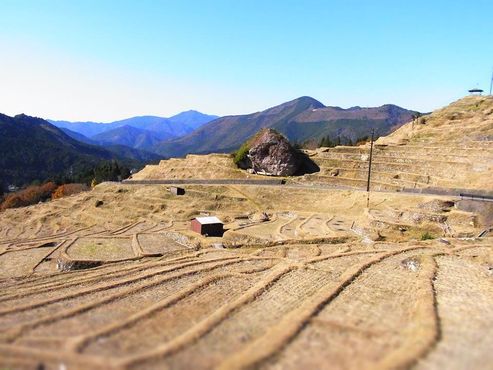 丸山千枚田