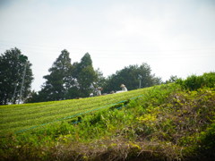 R0011226