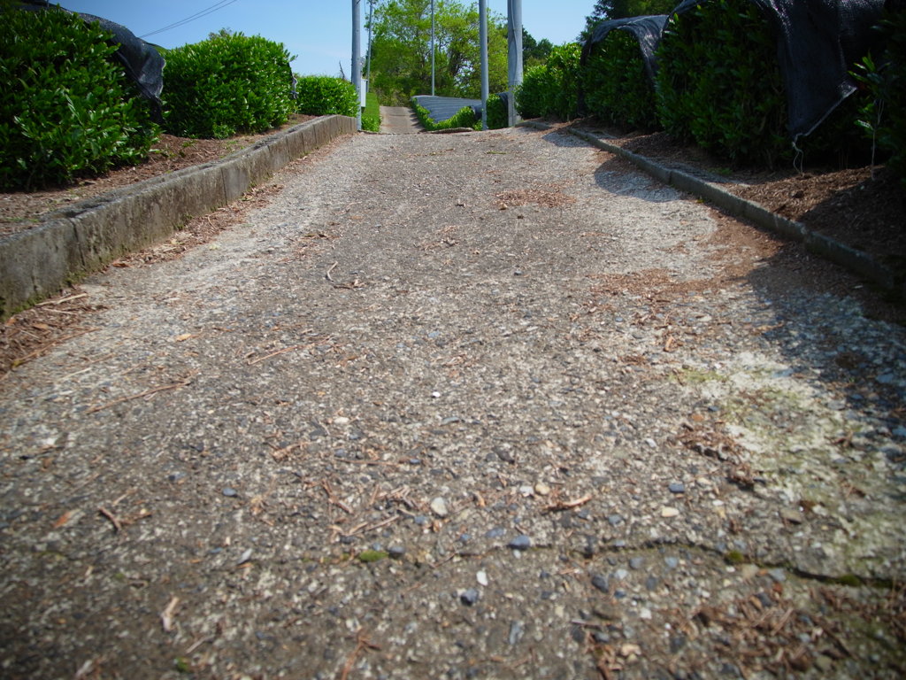 R0011277