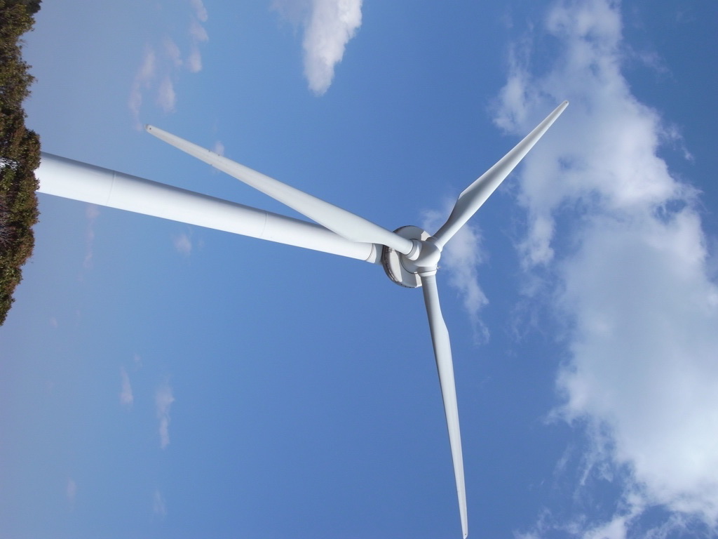 ベンツになりたかった・・・