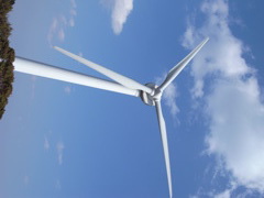 ベンツになりたかった・・・