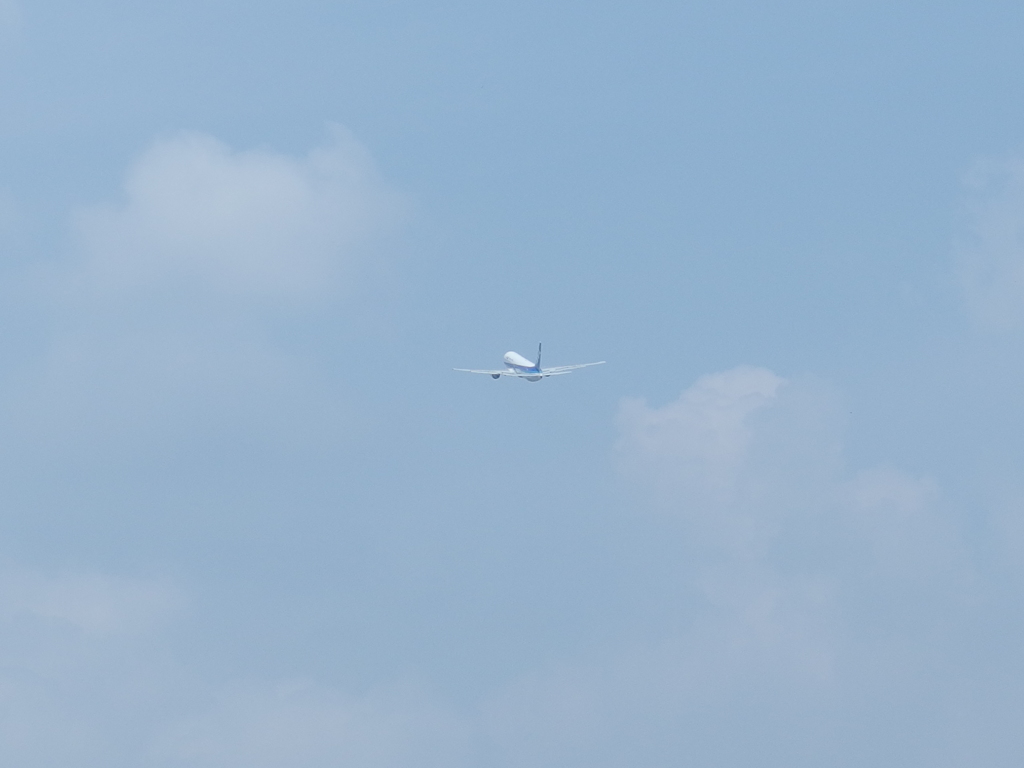 大空を駆け巡る。