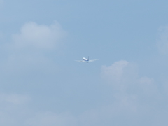 大空を駆け巡る。