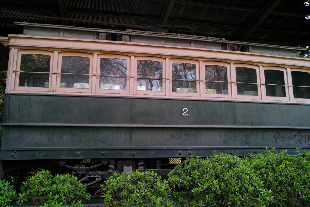 DP1M0626