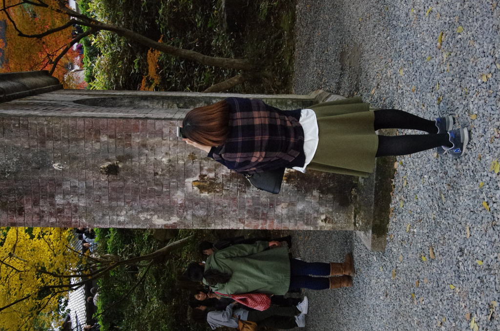 水路閣ポートレート