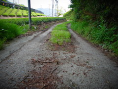 path