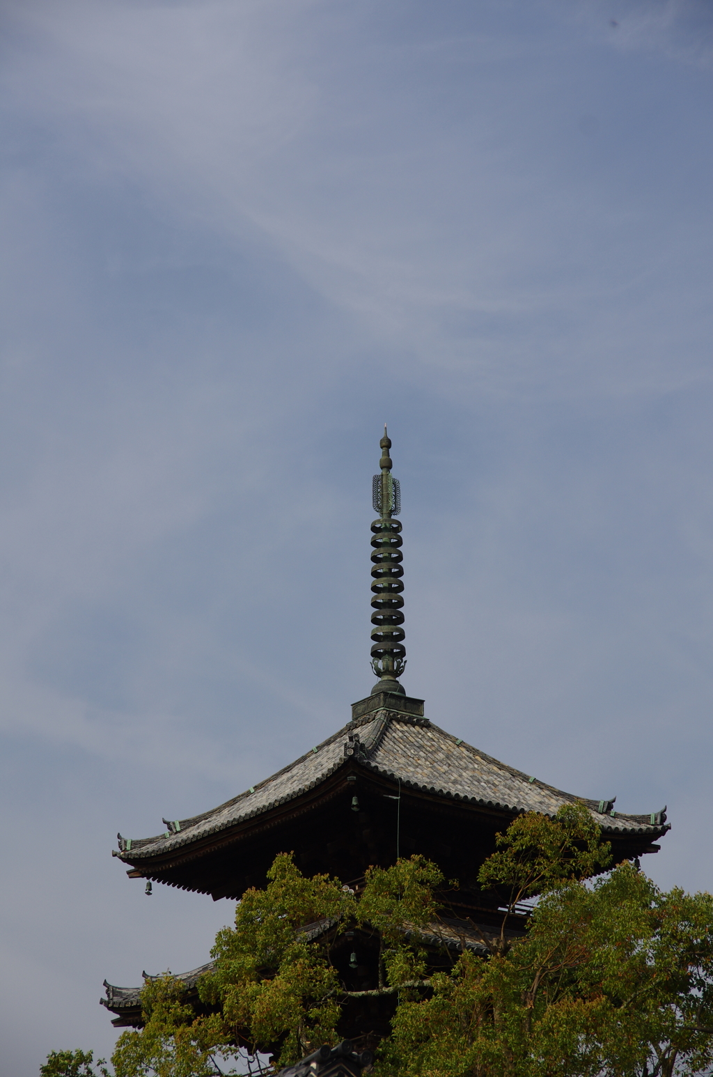 IMGP6701