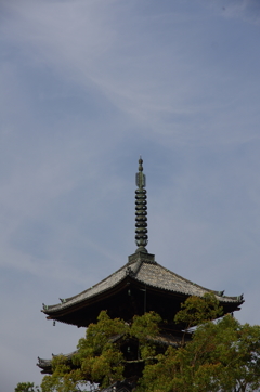 IMGP6701