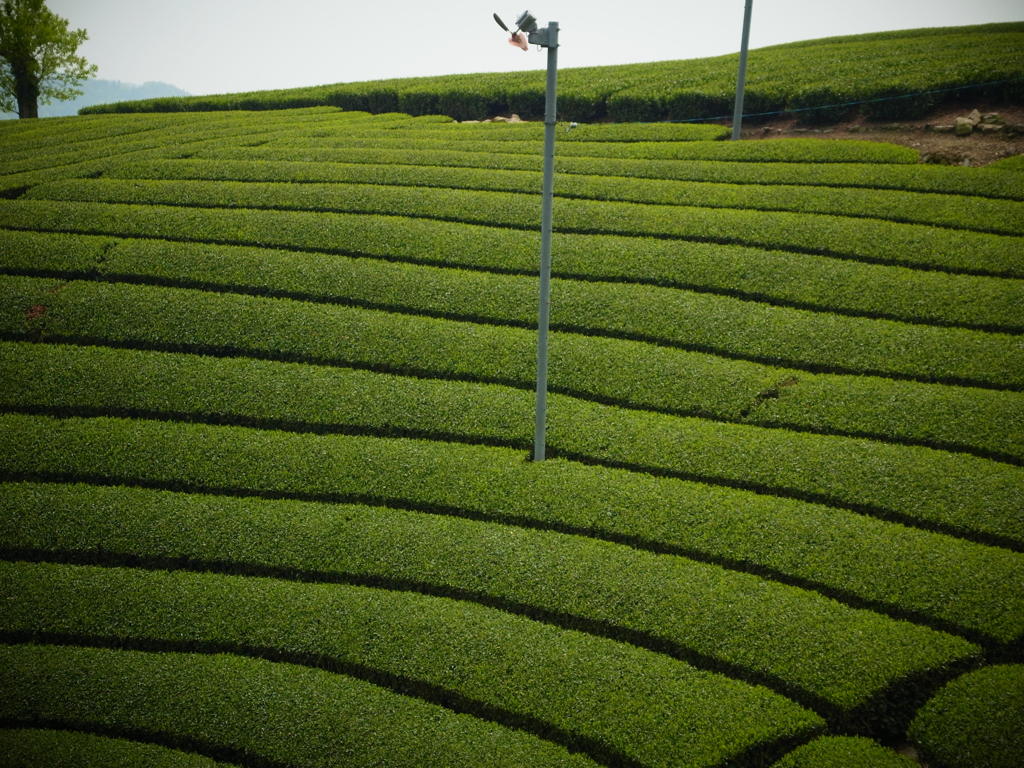 R0011406