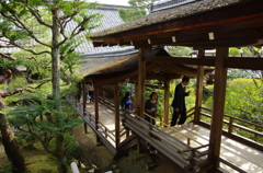 IMGP6686