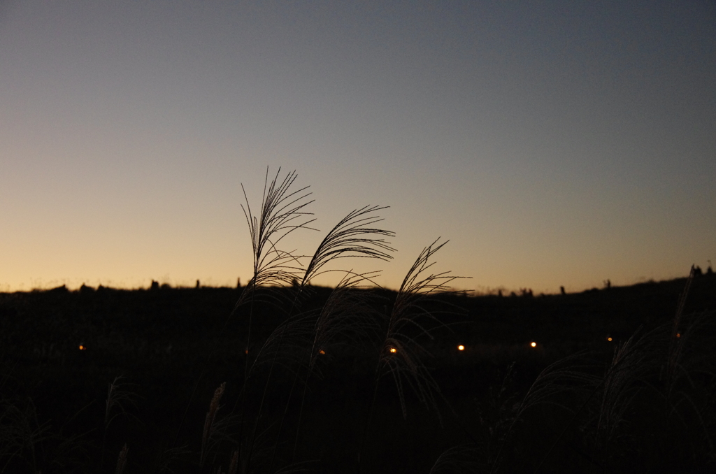 今日の日は、さようなら。