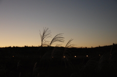 今日の日は、さようなら。