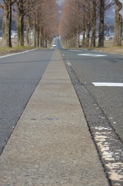 果てしなくつづく岐路。