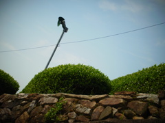 R0011129