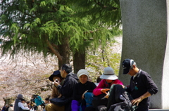 行楽日和。