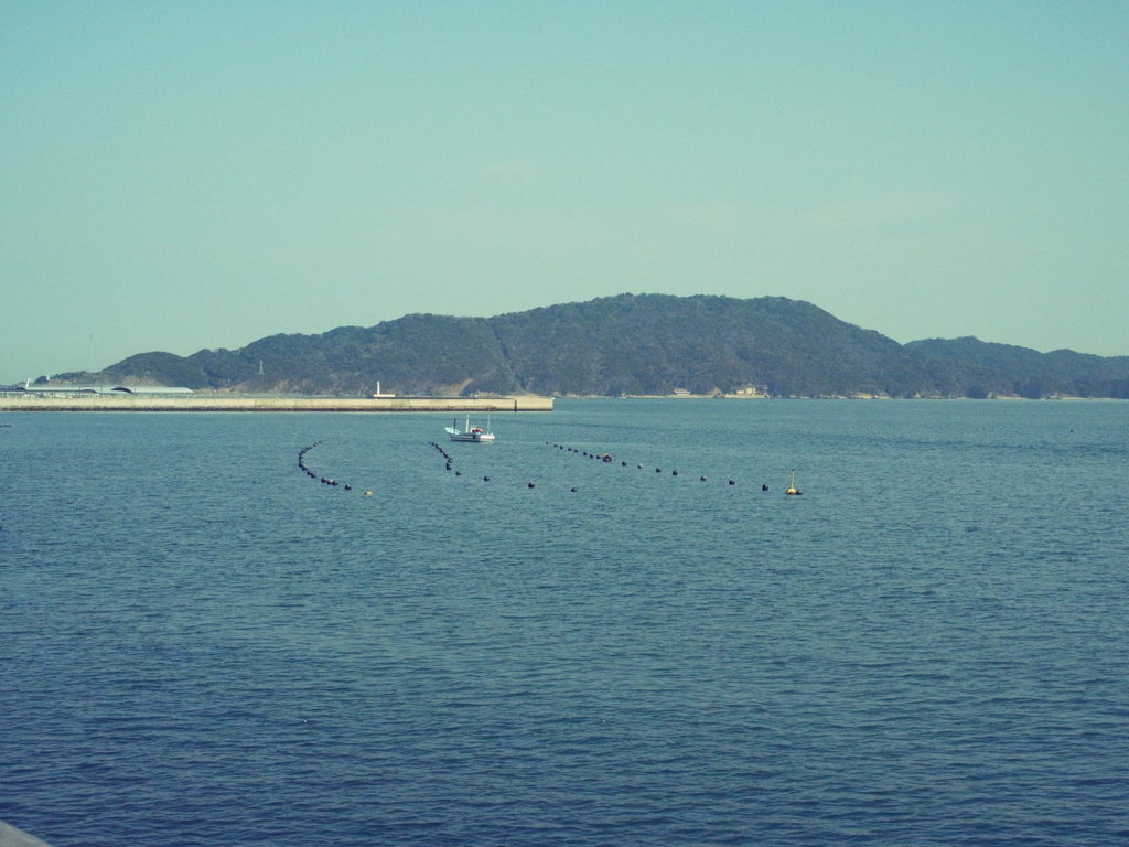 海