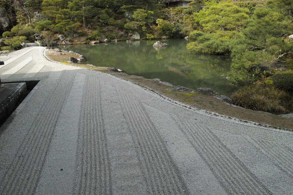 DP1M0685