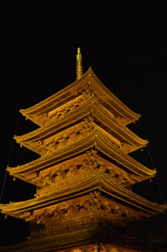 IMGP6891