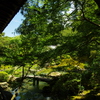 青蓮院門跡