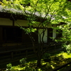 青蓮院門跡