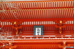 DP3M0313
