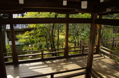 IMGP6685