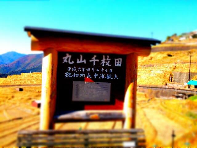 丸山千枚田