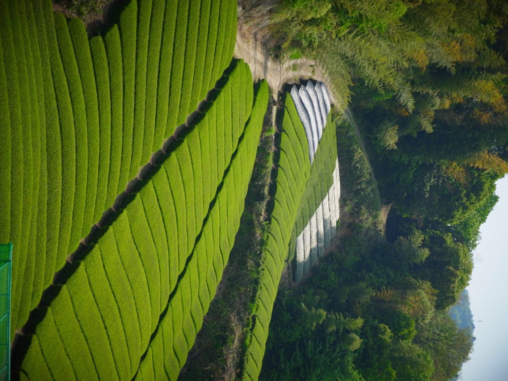 R0011190