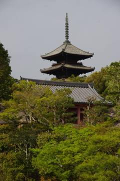 IMGP6676