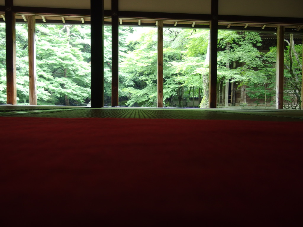 赤いじゅうたん