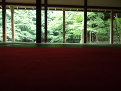 赤いじゅうたん