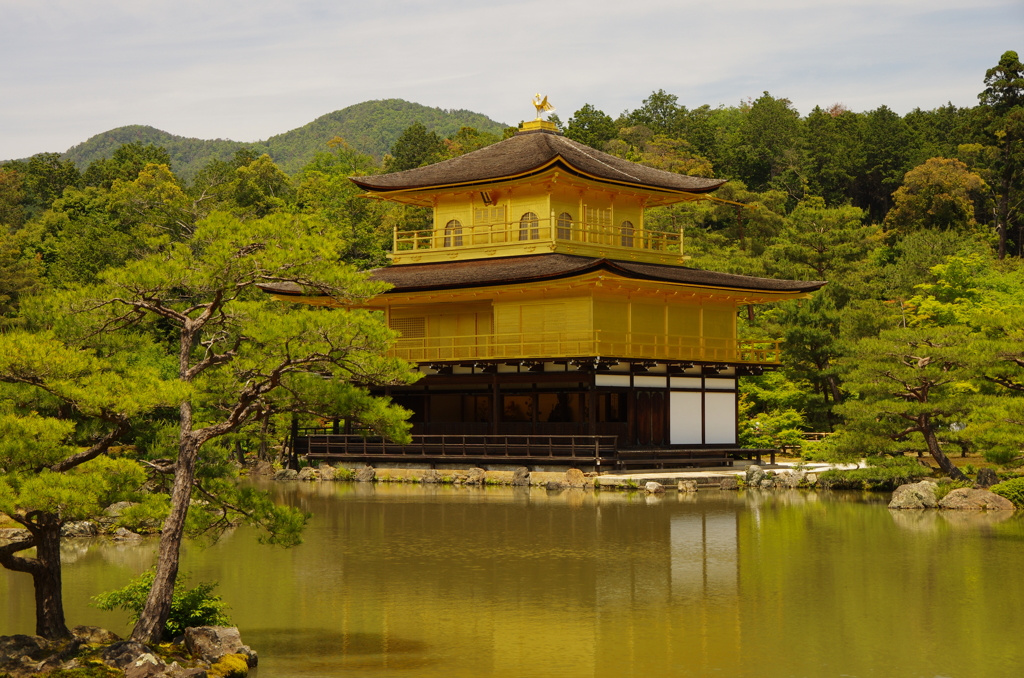 kinkaku ji temple