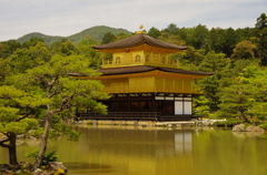 kinkaku ji temple