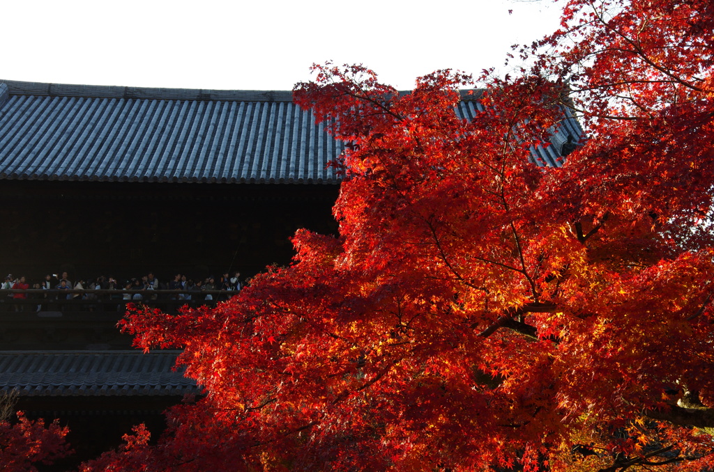 nanzen-ji temple