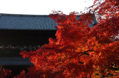 nanzen-ji temple