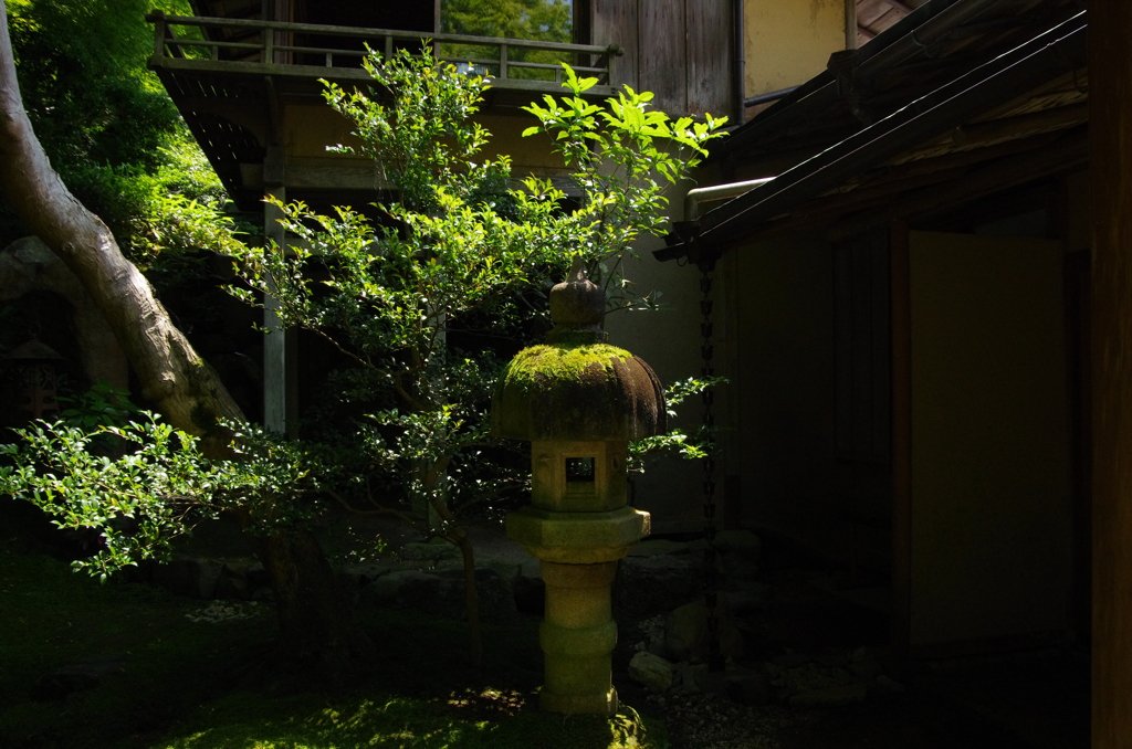 IMGP7936