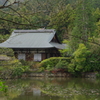 IMGP6824