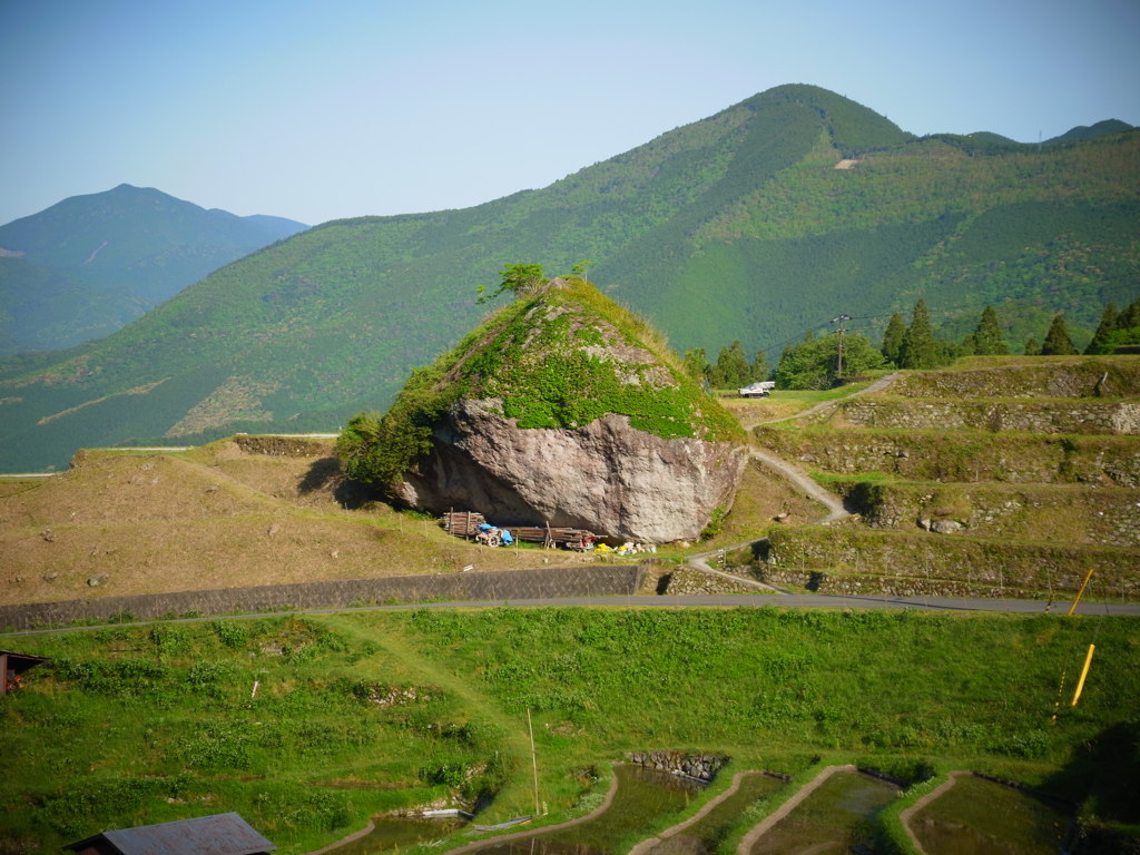 maruyama rice terrace
