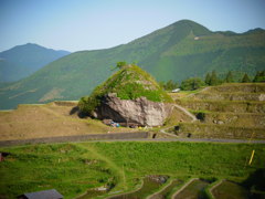 maruyama rice terrace